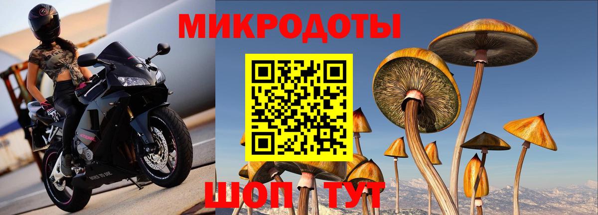 Галлюциногенные грибы MAGIC MUSHROOMS Нижний Новгород